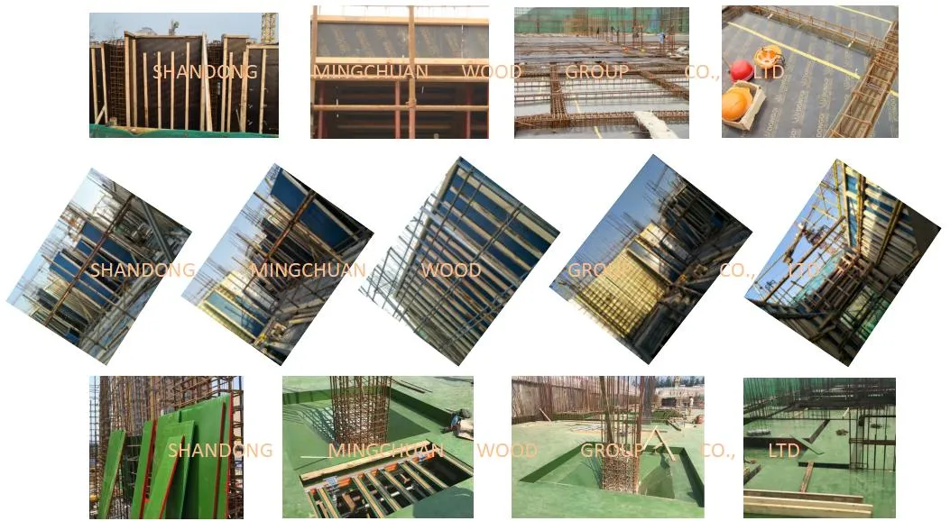 Formwork Plywood Green PP Hardwood Core Plywood PVC Film Faced Plywood